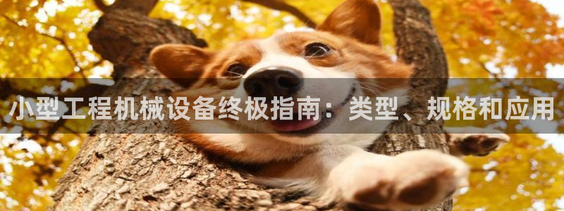 九游会官网入口ag亚洲