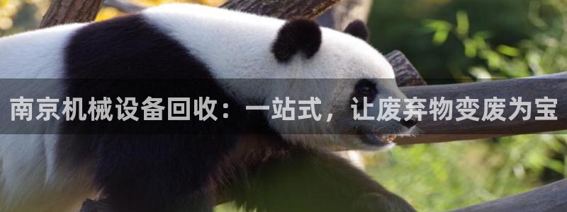 j9九游会真人手机版