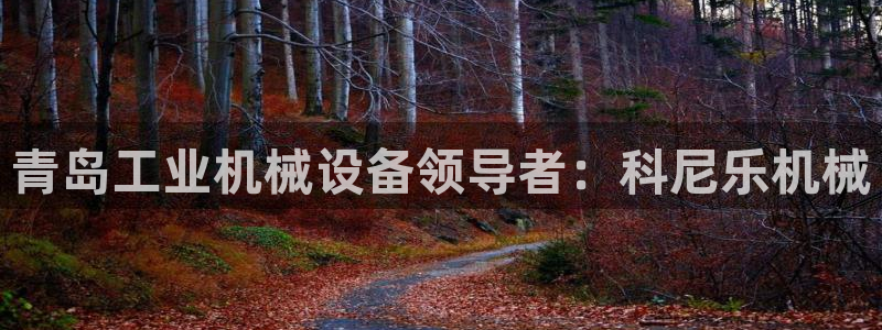 九游会j9全站平台